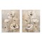 Stupell Industries Neutral Toned Flora 2pc Wall Plaque Art Set Design by Nina Blue